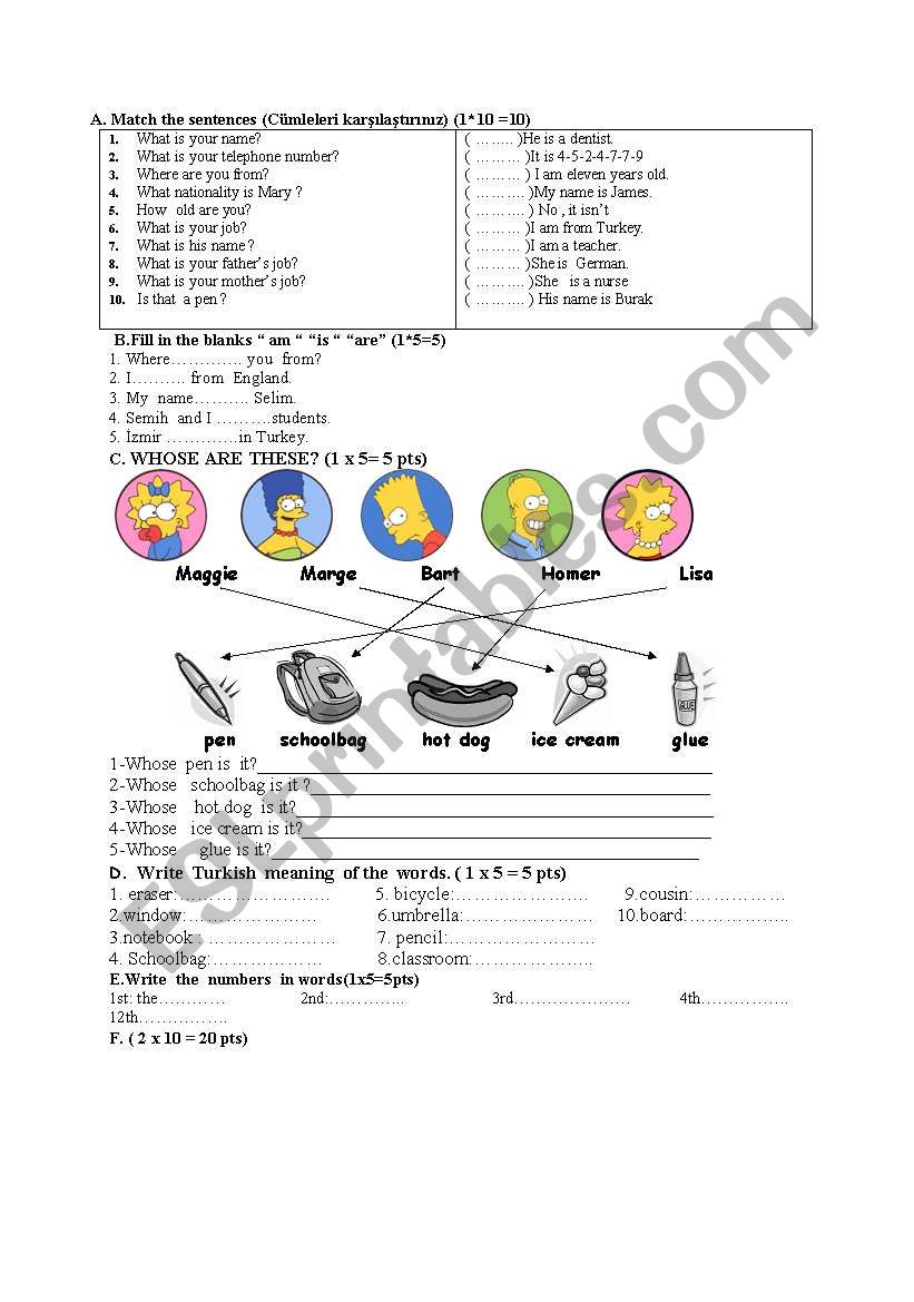 revision of   beginner grammar