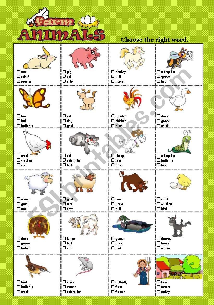 FARM ANIMALS - Multiple choice test - ESL worksheet by robirimini