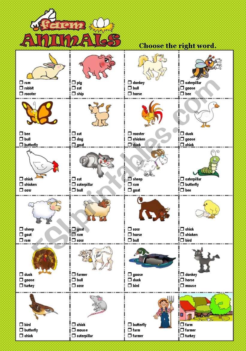 FARM ANIMALS - Multiple choice test