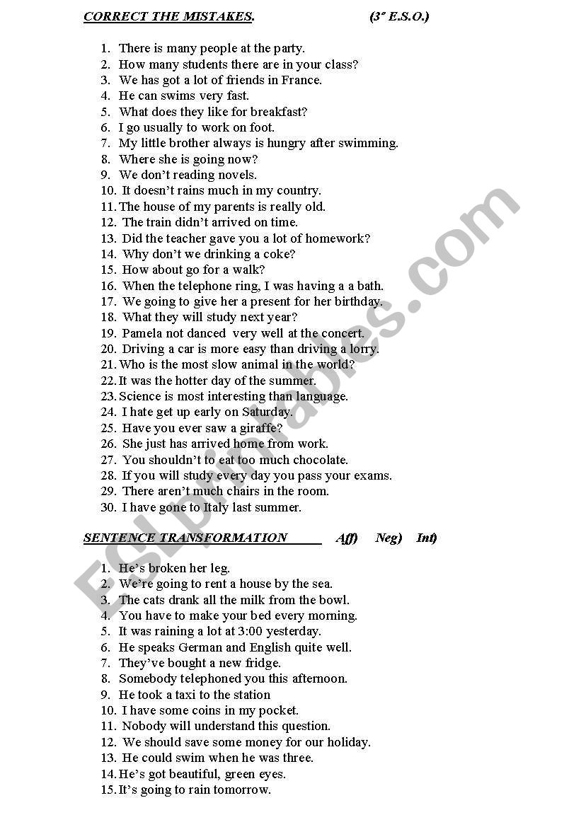 MISTAKES 3RD C.S.E. worksheet