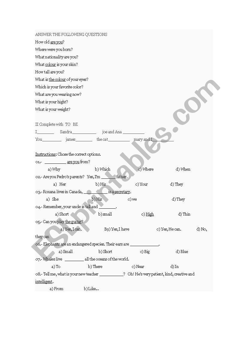 Basic English worksheet