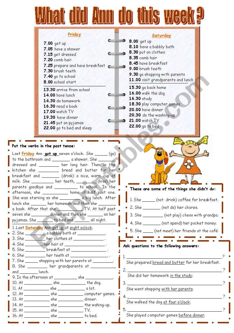 What did Ann do this week ? worksheet