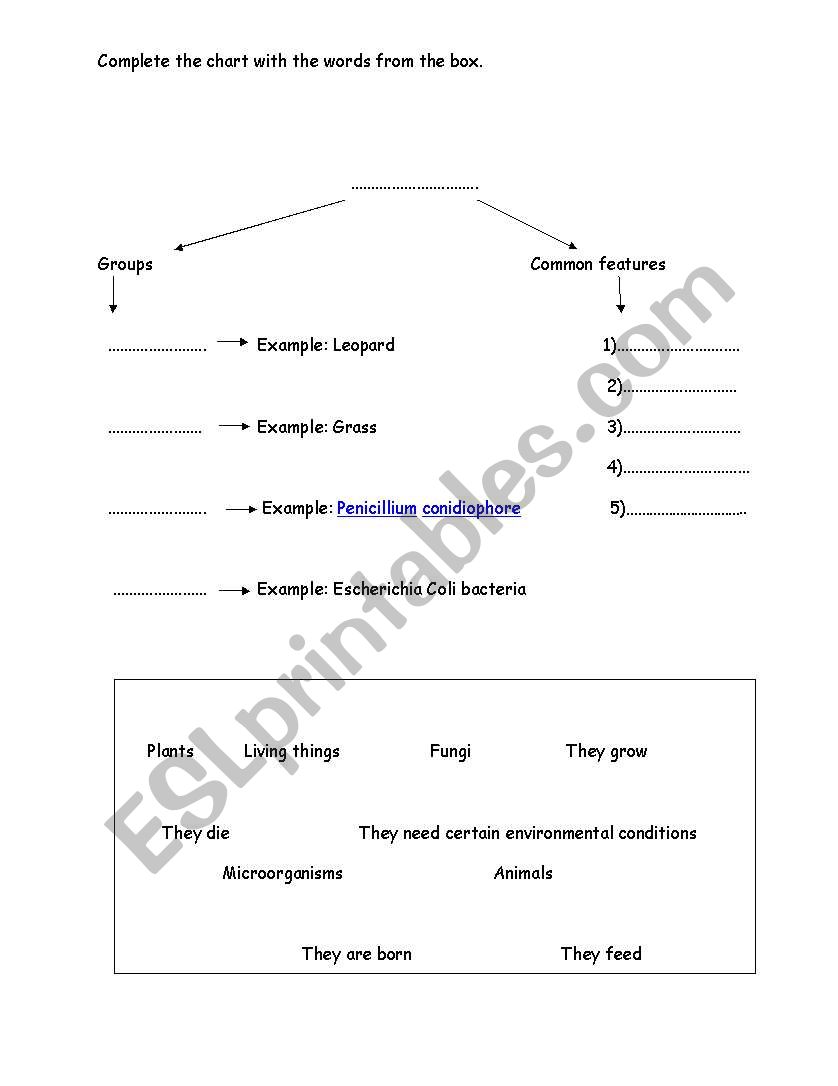 Living things: Groups & common features