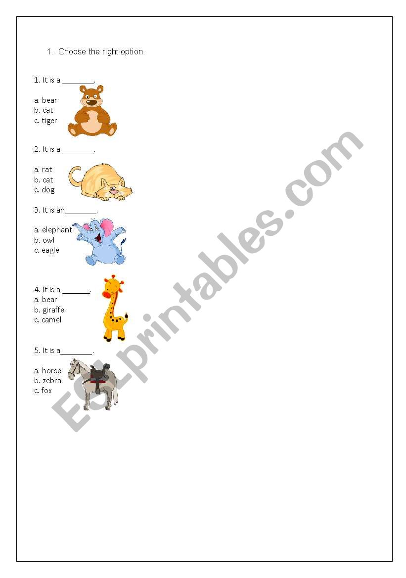 Animal worksheet