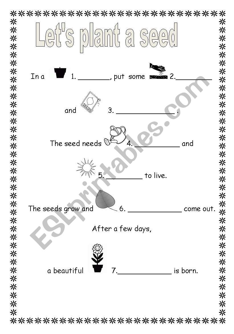 Lets plant a seed! worksheet