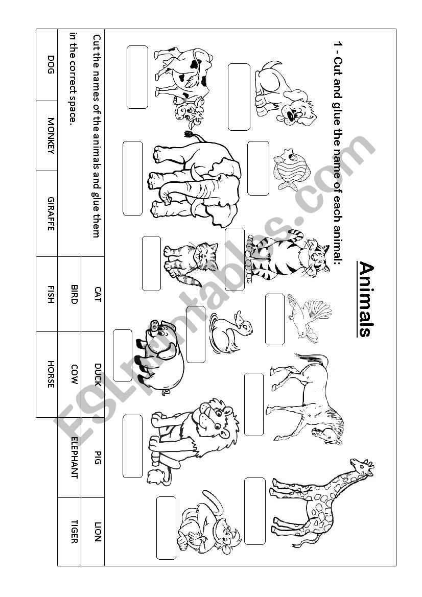 Classify the animals worksheet