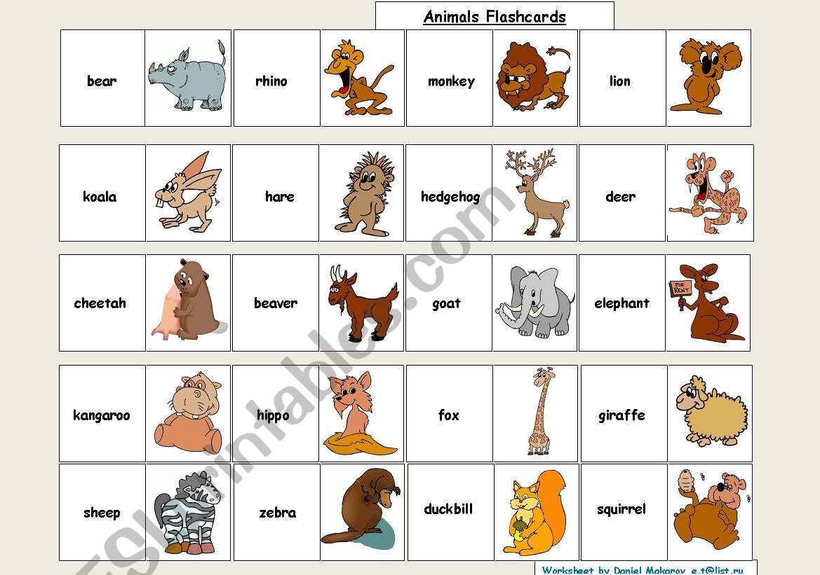 animals_flashcard worksheet