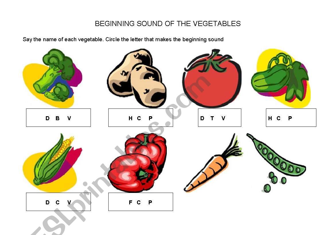 BEGINNING SOUND OF THE VEGETABLES