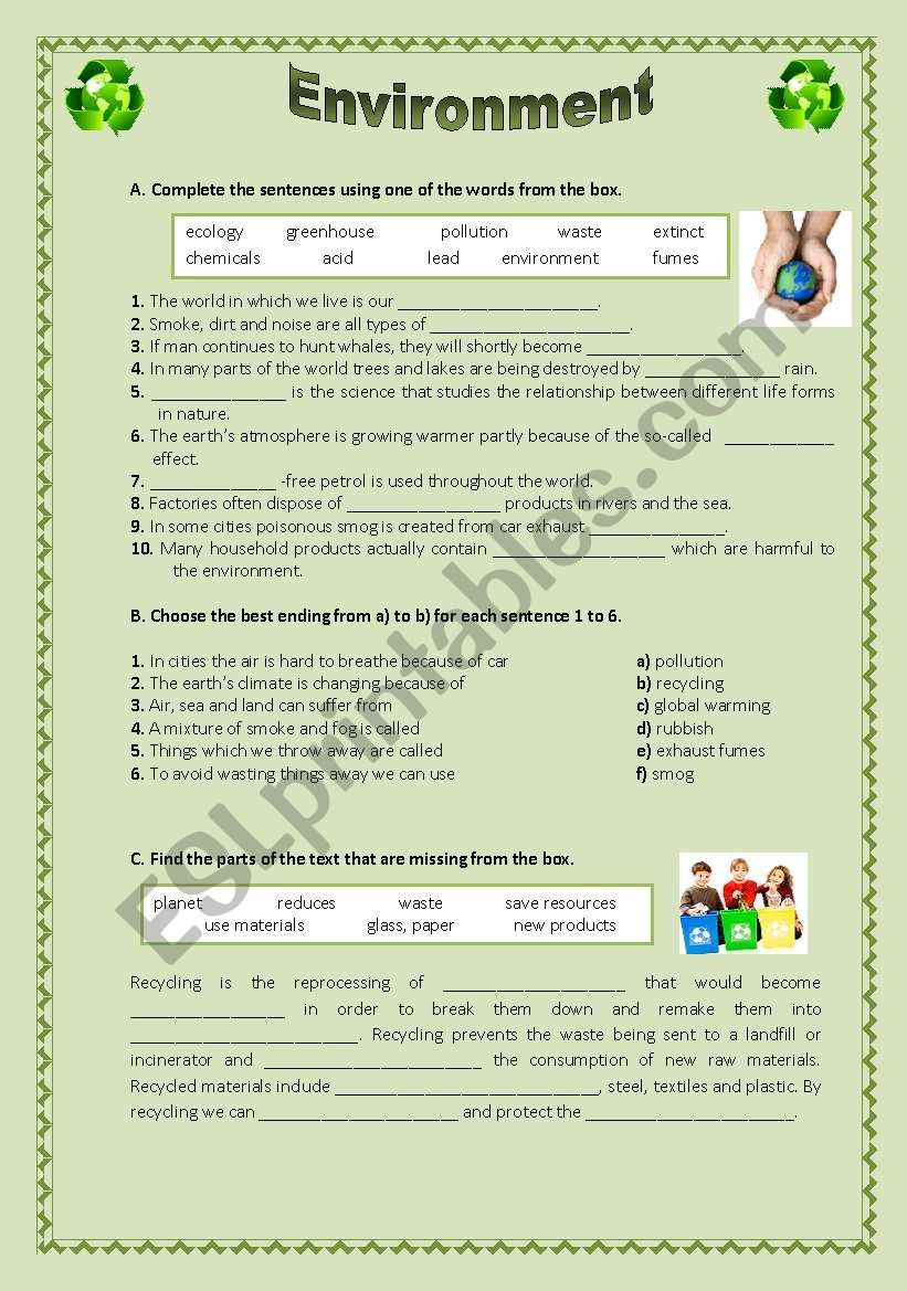 Environment worksheet