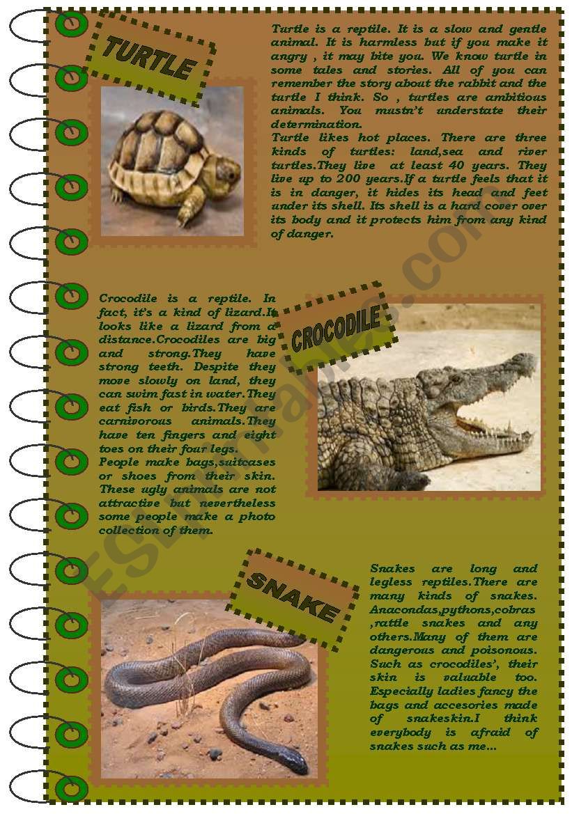 READING COMPREHENSION about reptiles (version 1)