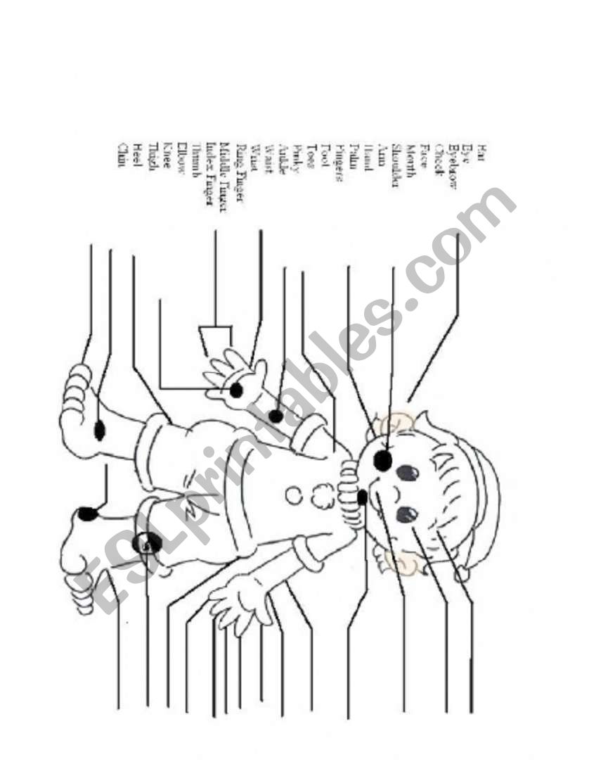 Body Parts worksheet