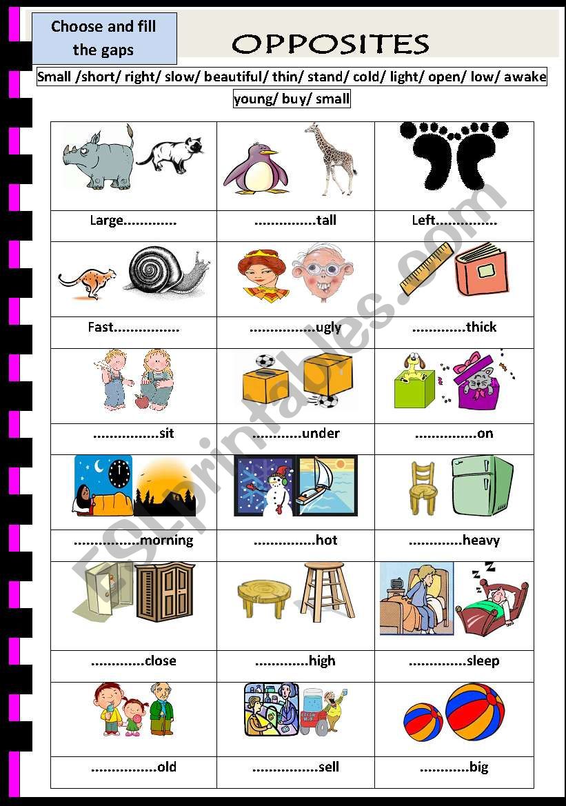 opposites worksheet