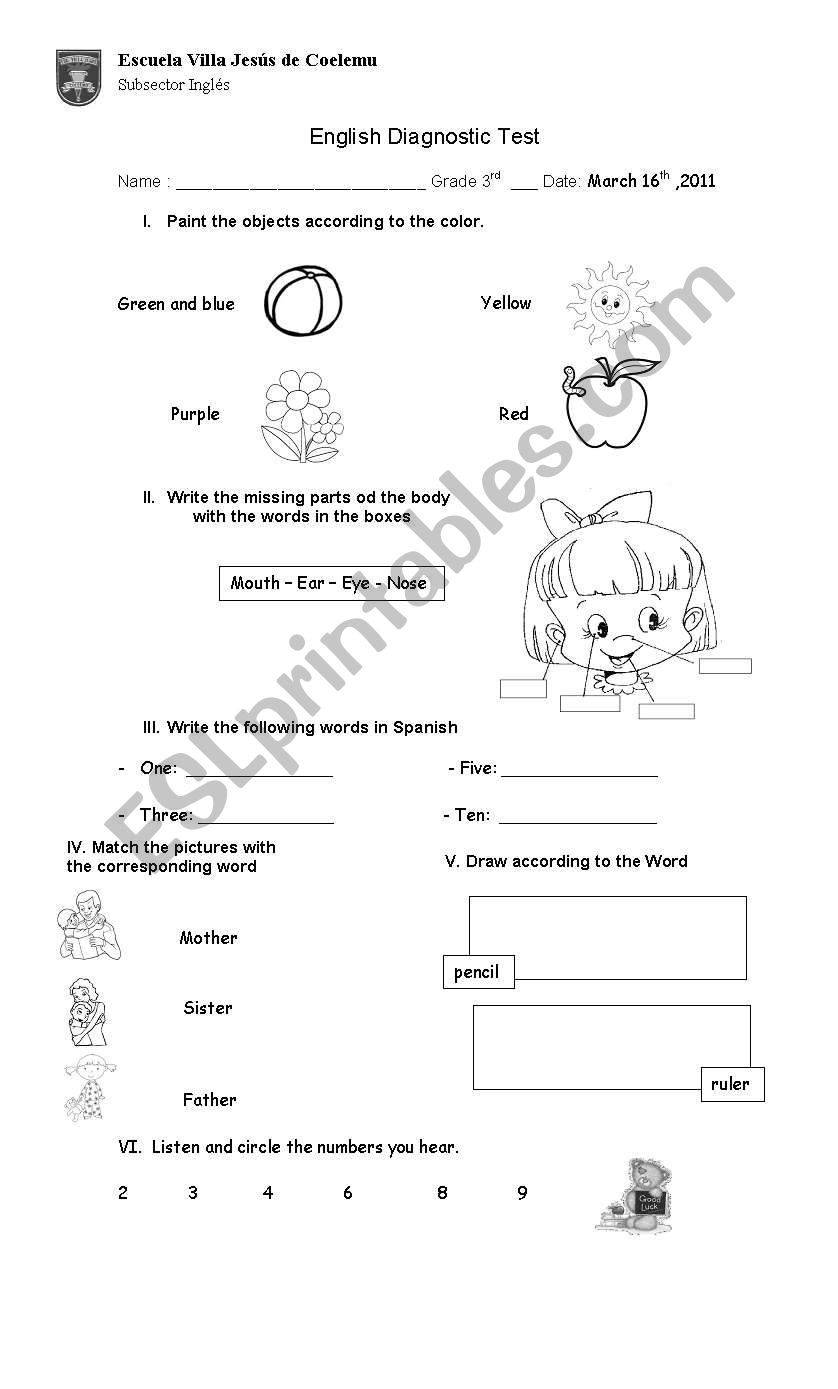 Diagnostic test worksheet