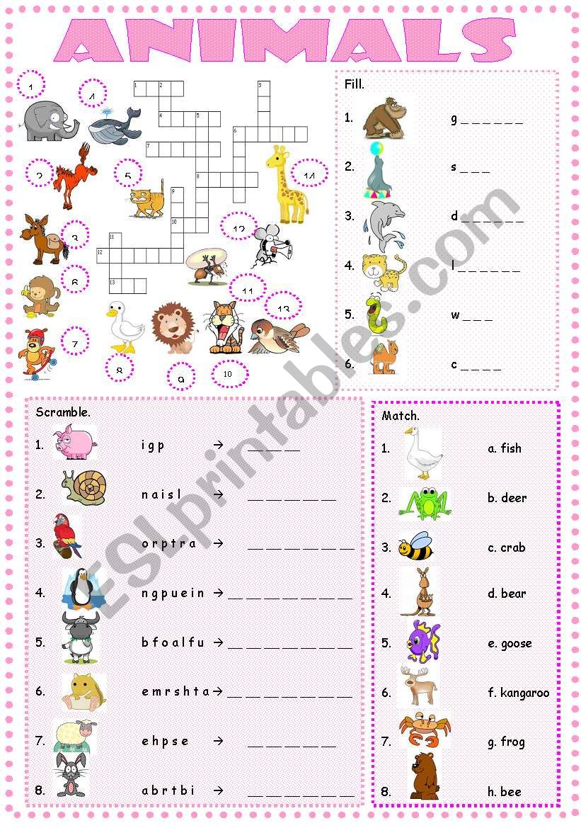 Animals worksheet