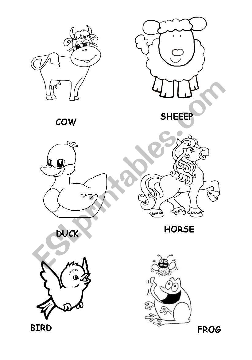 Some animals worksheet