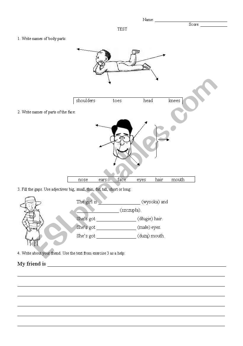 body parts test worksheet