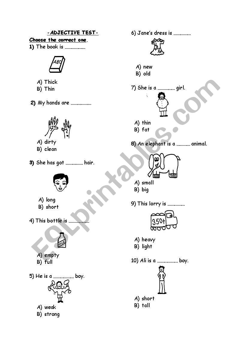 ADJECTIVE TEST worksheet