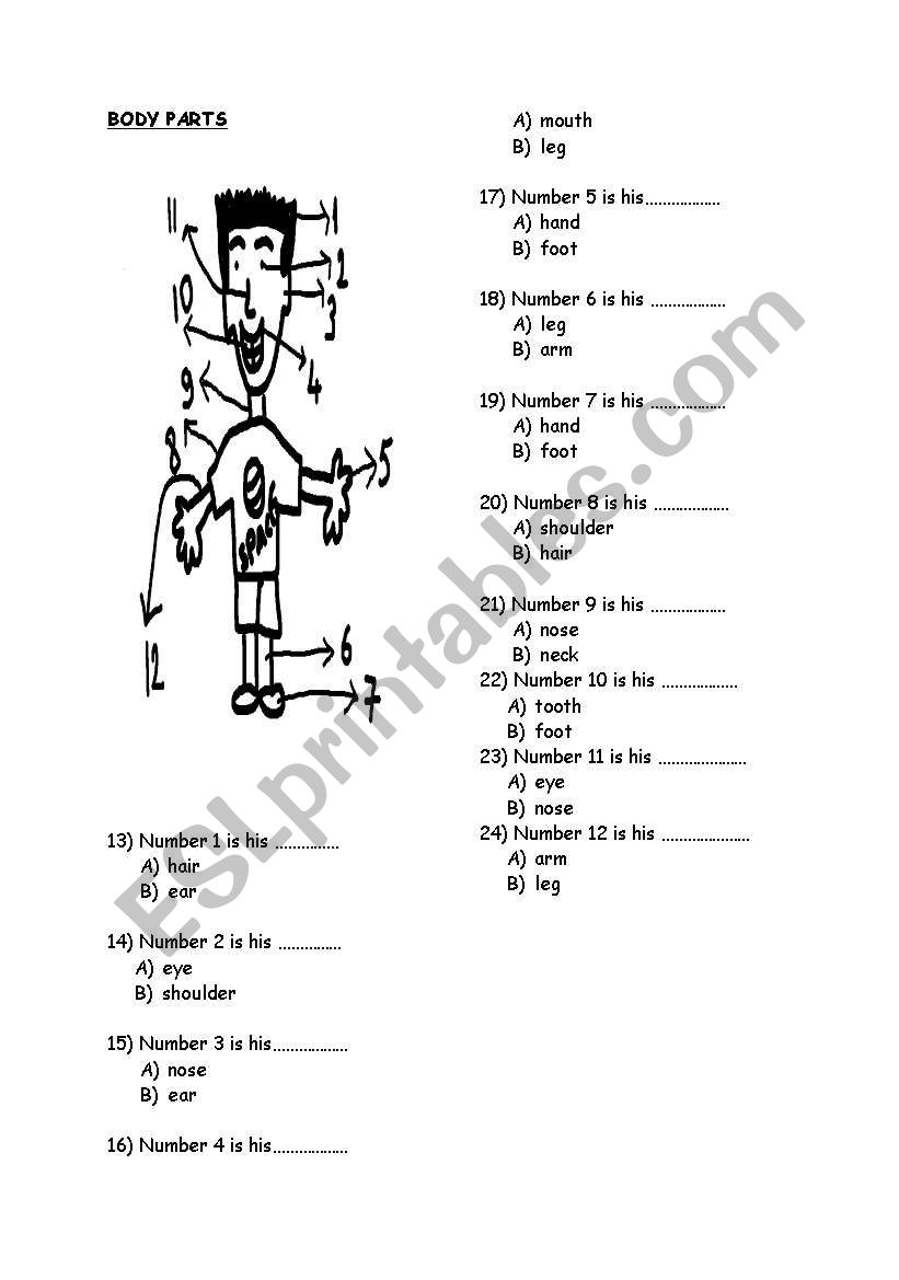 BODY PARTS worksheet