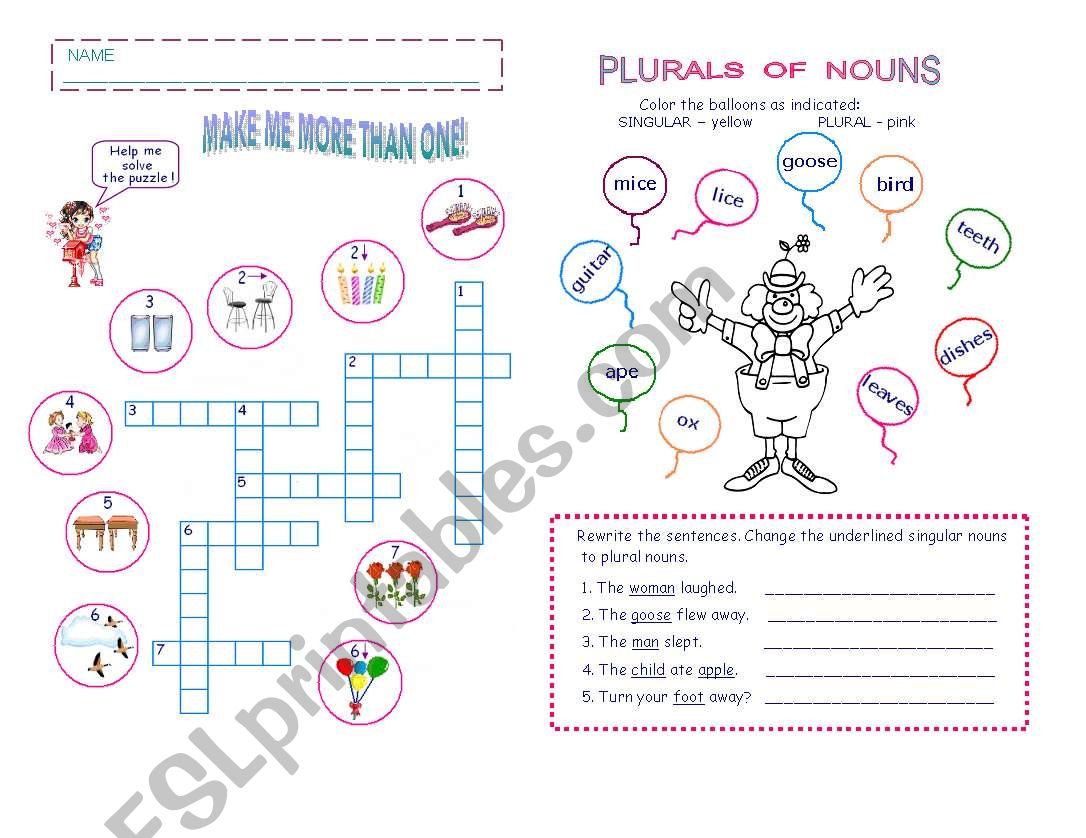 PLURALS OF NOUNS worksheet