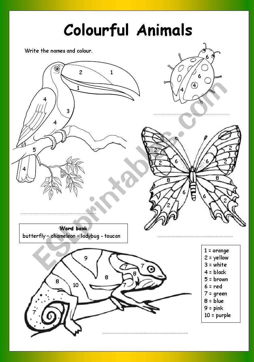 Colour by Numbers: Colourful Animals