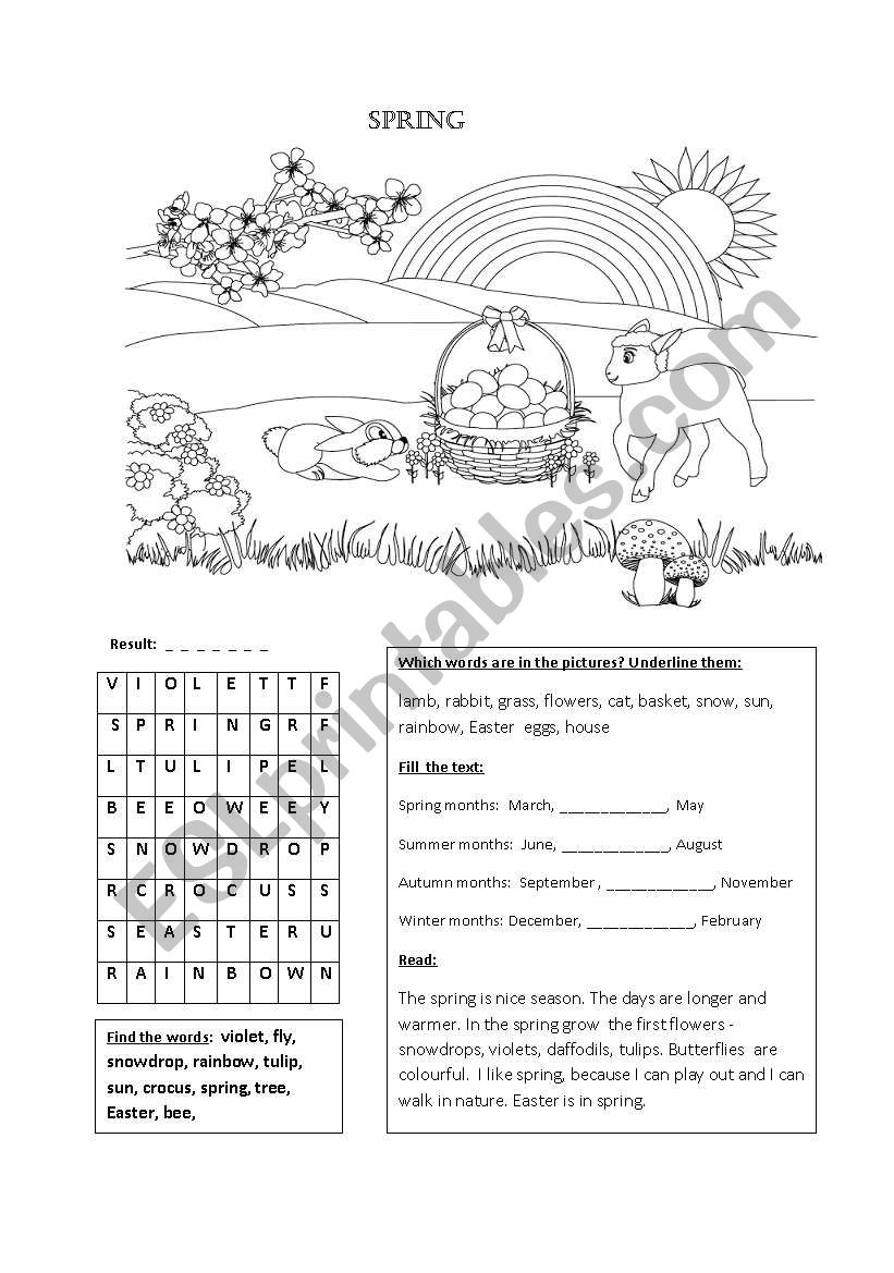 Spring worksheet