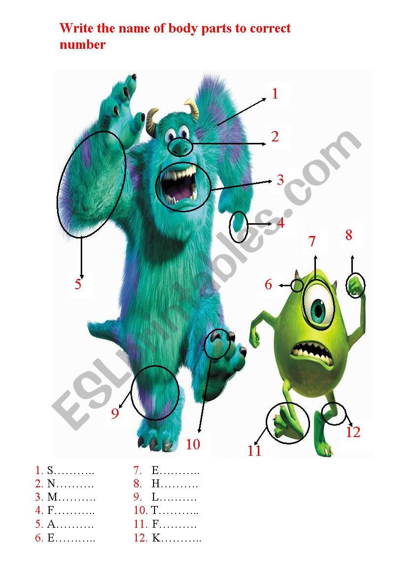 body parts worksheet