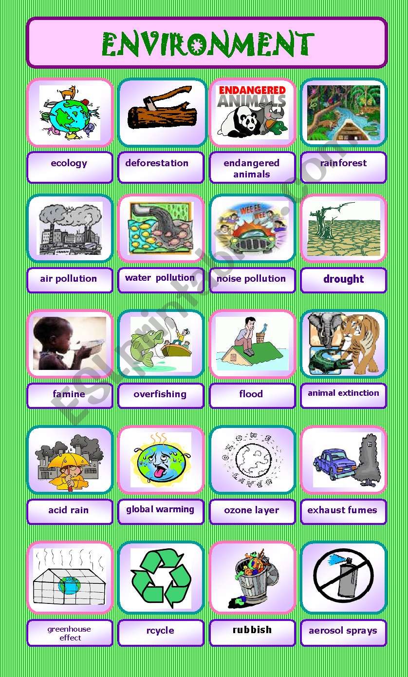 ENVIRONMENT (20 words) worksheet