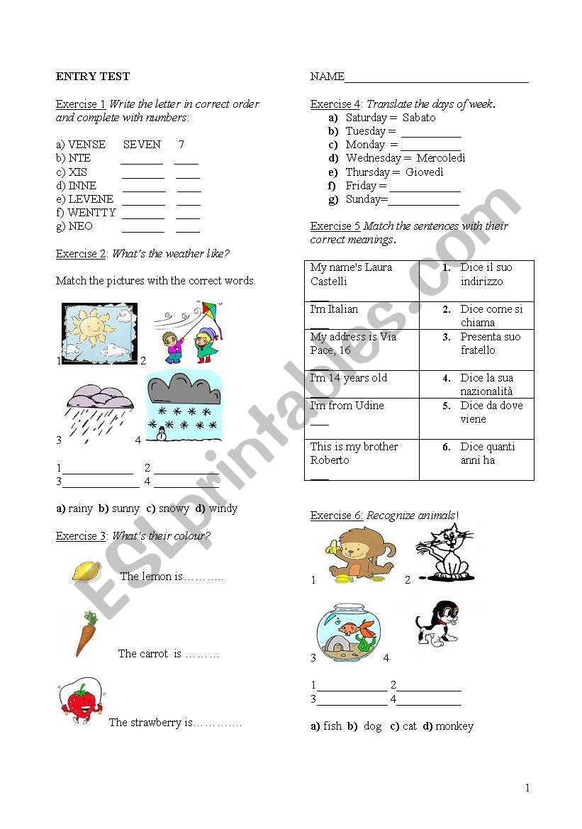 Entry test for kids worksheet
