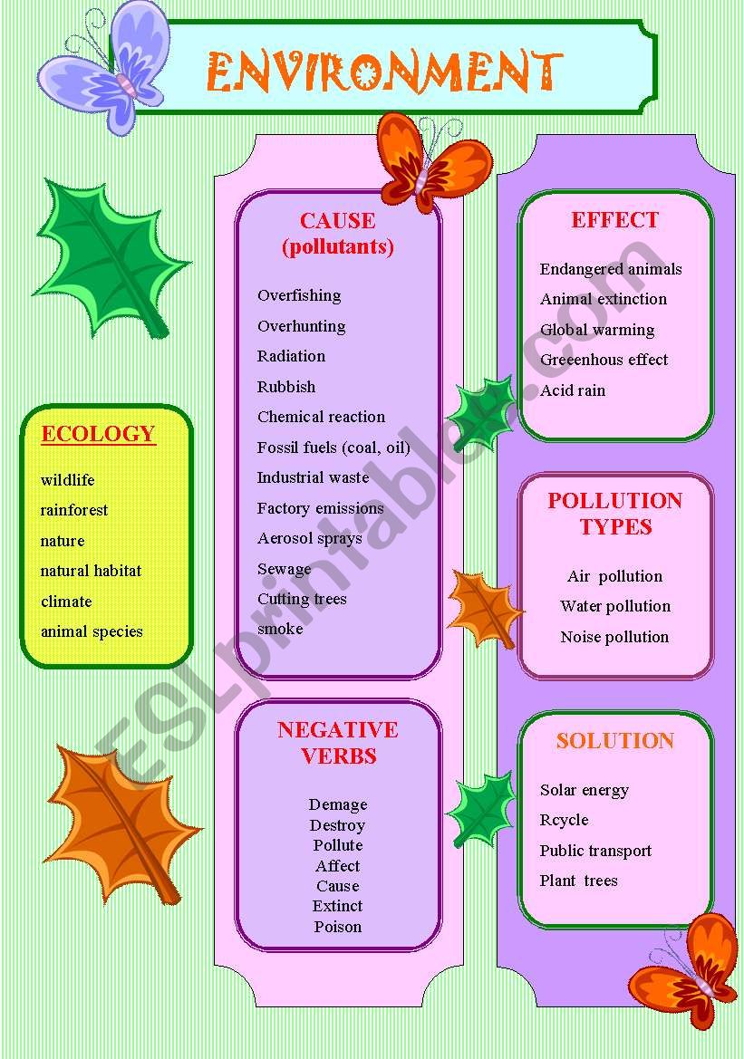 ENVIRONMENT worksheet