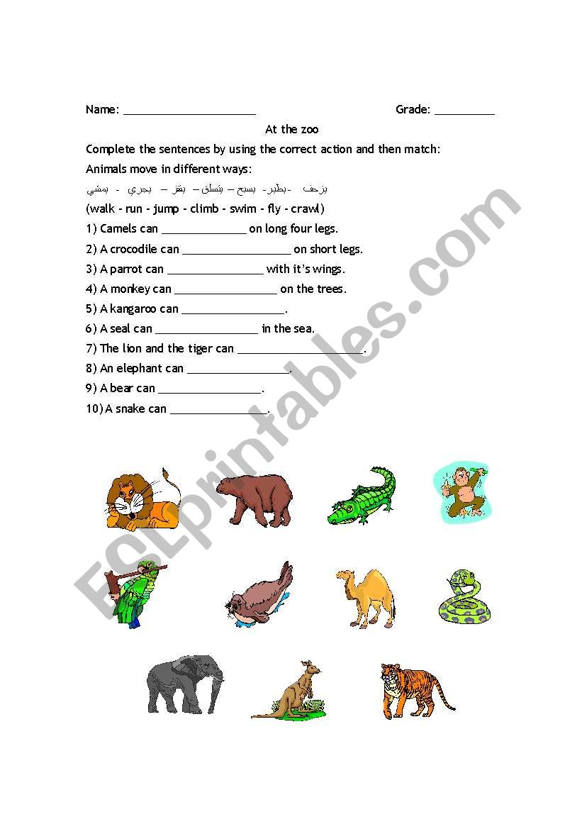 animals worksheet