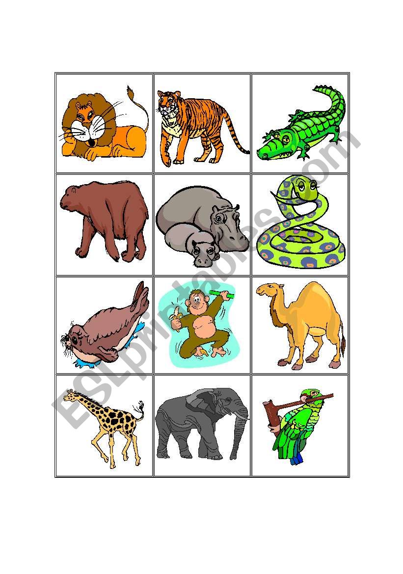 animals worksheet