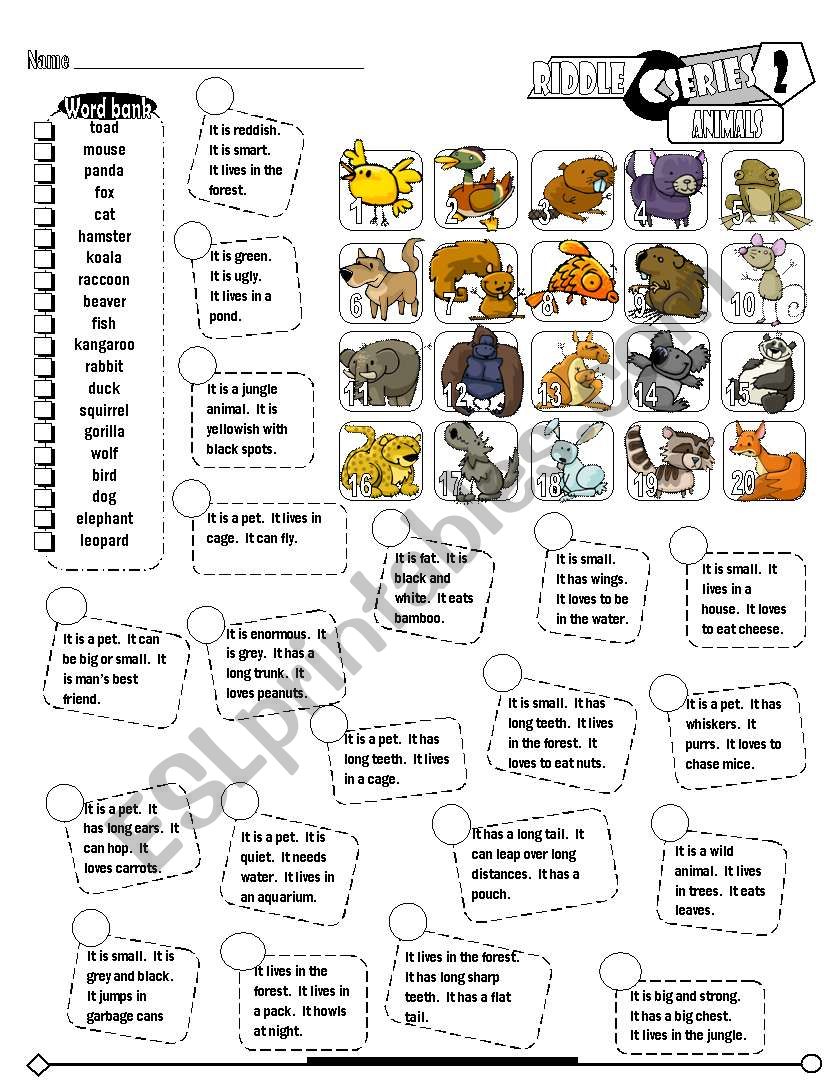 Pet s riddles игра. Riddles about animals. Pet Riddles. Animals Riddles Worksheets. Riddle about Rabbit.