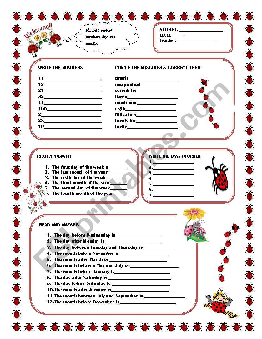 Numbers and Calendar worksheet