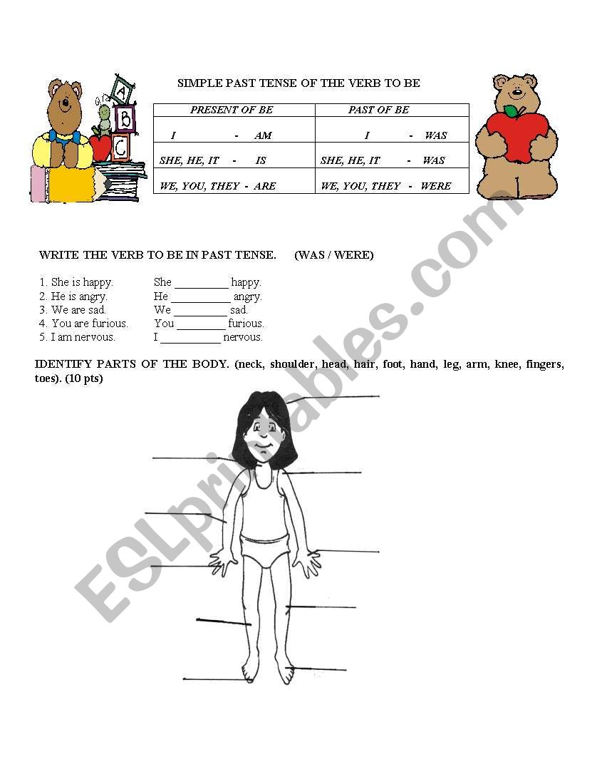 Past Tense of the Verb to Be, Body Parts, Verb to Have 