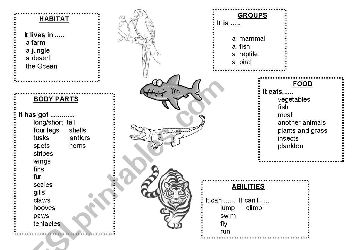 describing animals worksheet