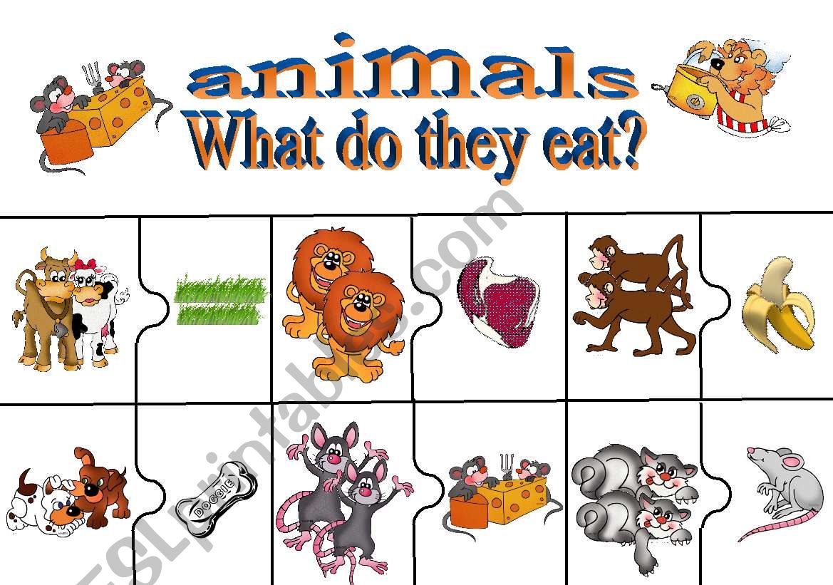 Animals and food worksheet