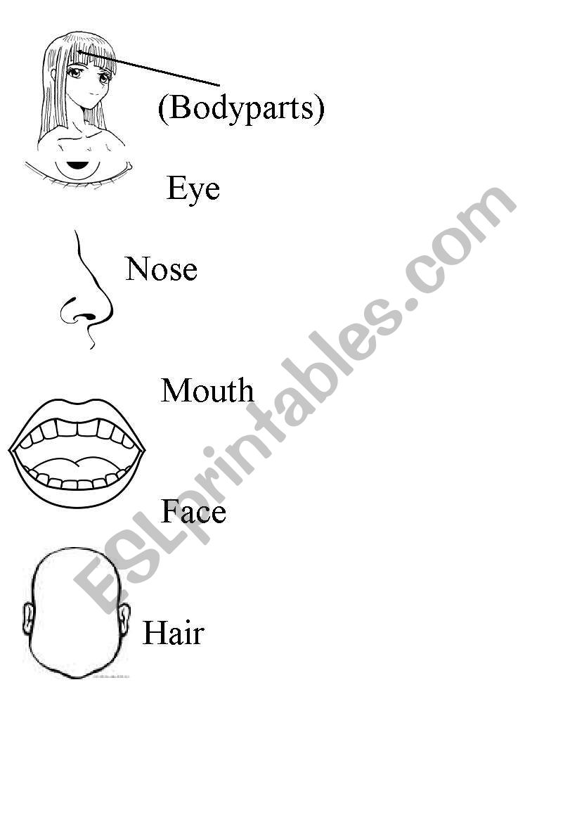 Body parts (just face) worksheet