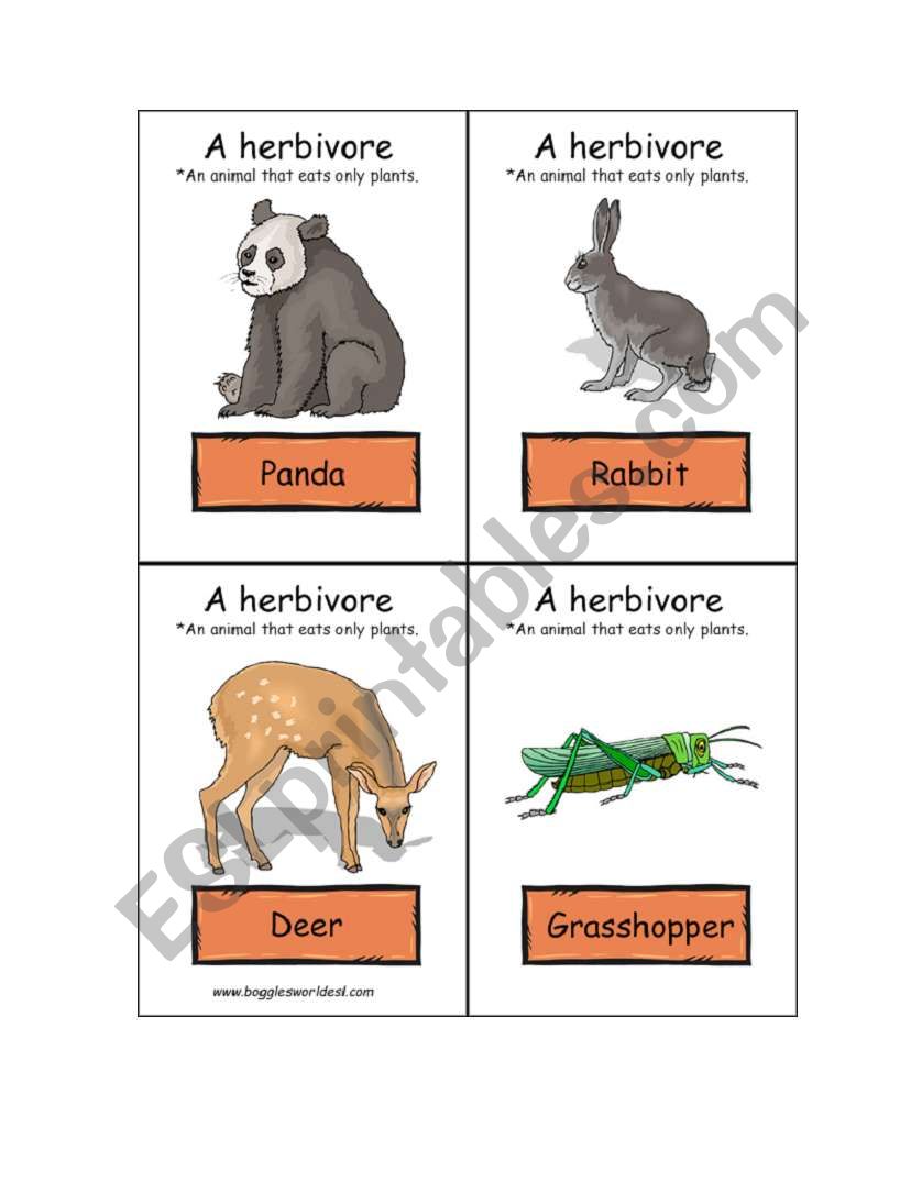 Herbivore worksheet