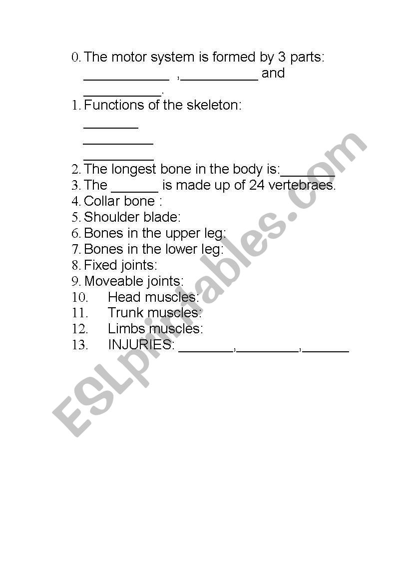 Motor system worksheet