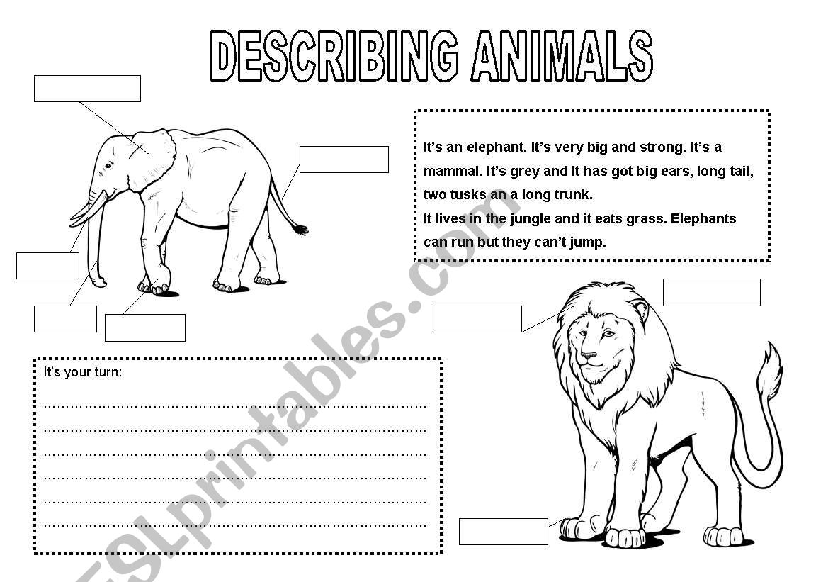 Describing animals worksheet