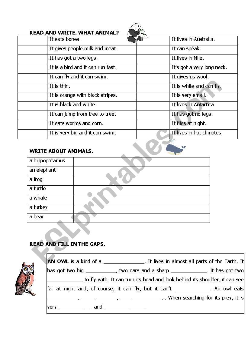 ANIMALS worksheet