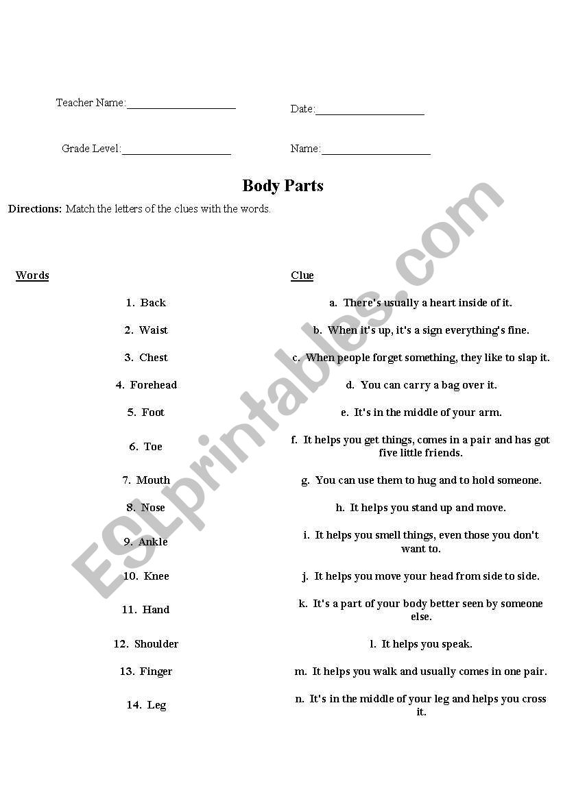 Body Parts Matching Exercise worksheet
