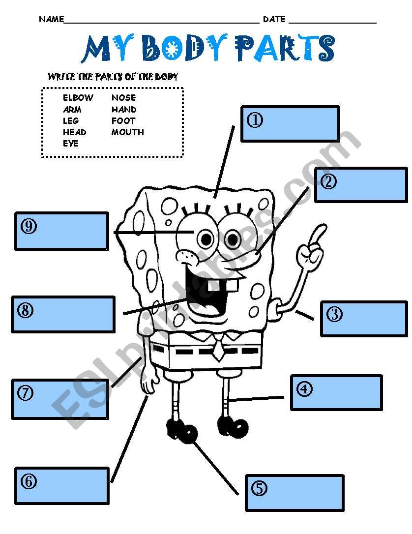 Body Parts worksheet