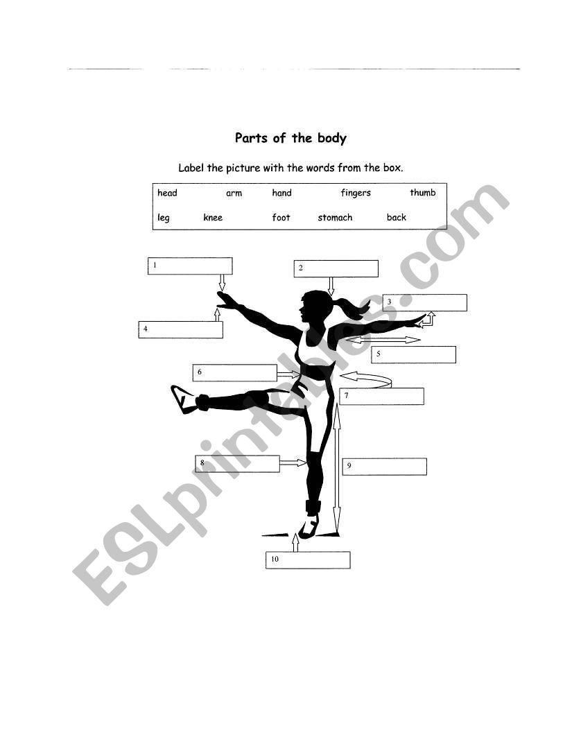 BODY PARTS worksheet