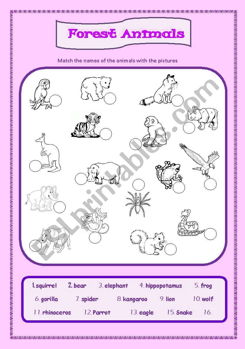 Forest Animals worksheet