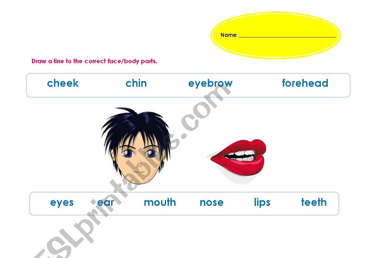Parts of the Face worksheet
