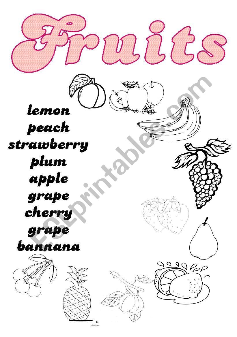 Fruit Vocabulary worksheet