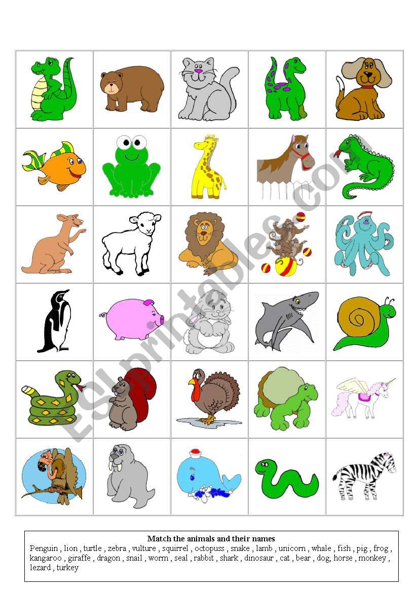 animals flashcards worksheet