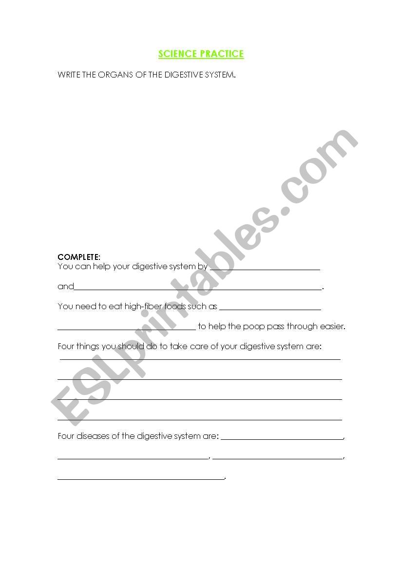 Digestive system practice  worksheet