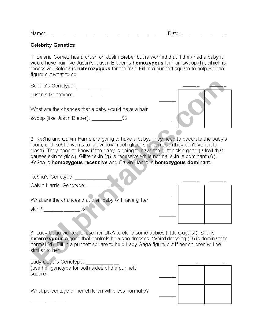 English worksheets: Celebrity Genetics In Genetics Worksheet Middle School
